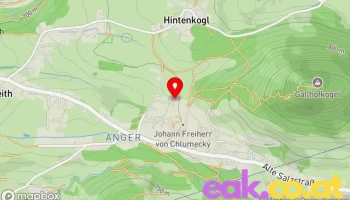 Bio Olivenöl Extra Virgin von Ausseer Chalets - Bad Aussee