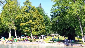 Freibadeplatz Sprinzensteinpark - Attersee Am Attersee