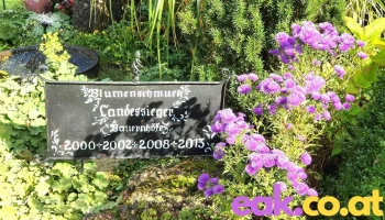 Gemeinde Stiwoll - Austria