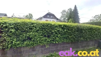 Holzart Aistleitner & Tremmel Og - Hellmonsödt