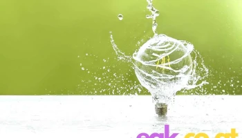 NEXT-Incubator - Graz