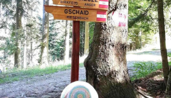 Rabenwald - Rabenwald
