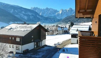 Sunseitn Apartments - Gosau Am Dachstein