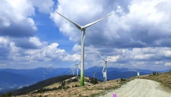 Wien Energie Windpark Steinriegel - Ratten