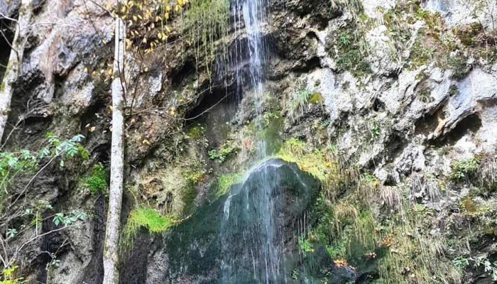 Begegnungsfelsen - Sreča peč - Österreich