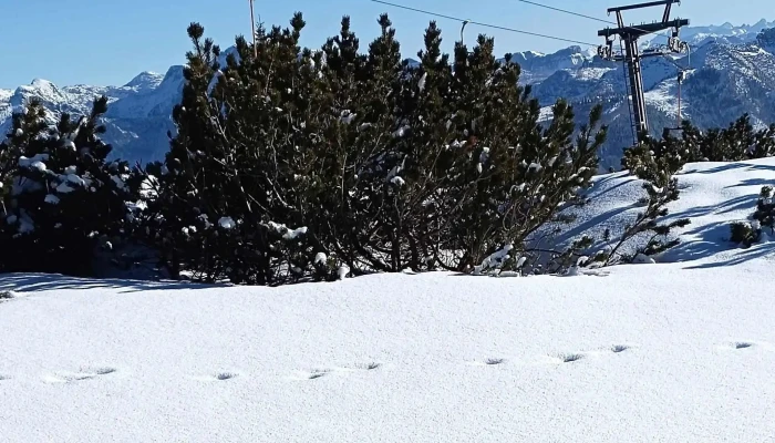 Bergbahnen Feuerkogel Ebensee -  Instagram - Ebensee