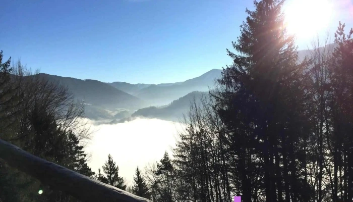 Energieform.eu - Austria