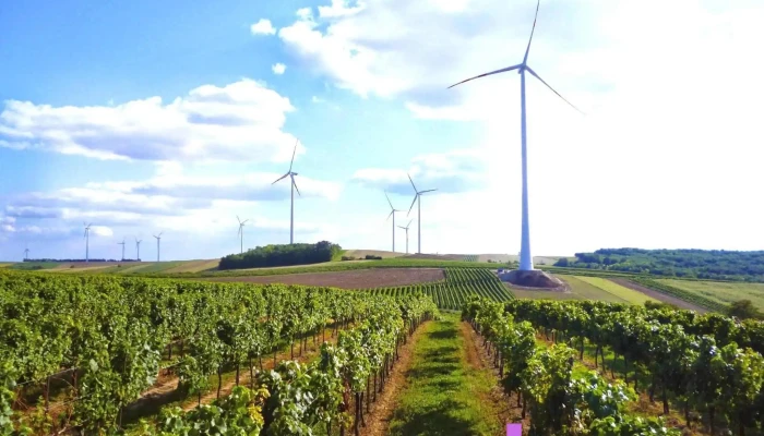 Ews Consulting Gmbh Alle - Munderfing