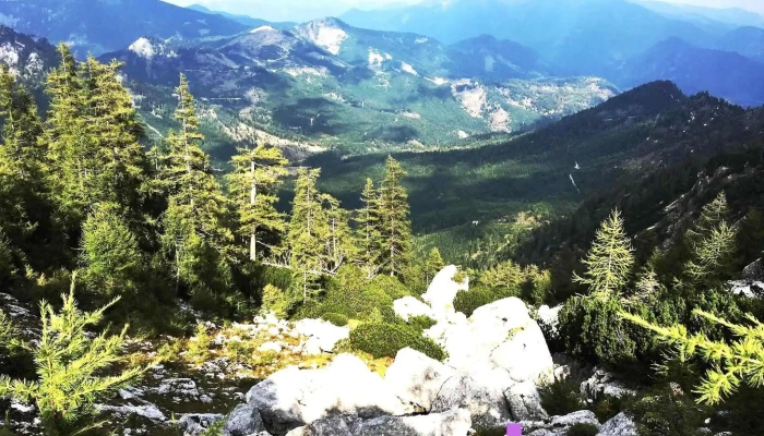 Grunau Im Almtal Alle - Grünau Im Almtal
