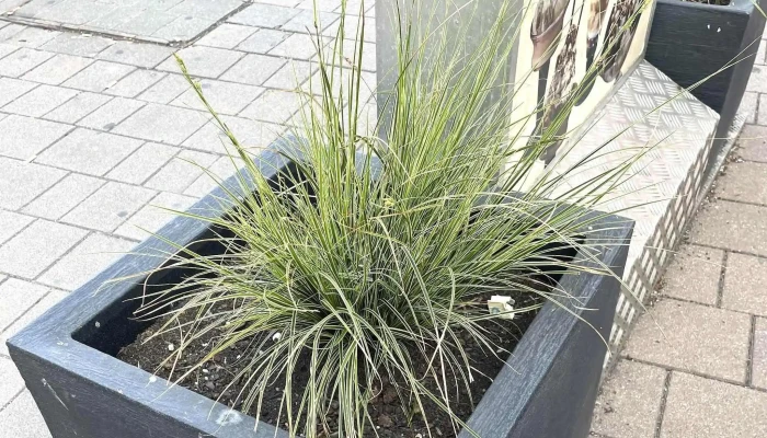 Haid Center -  Standort - Ansfelden