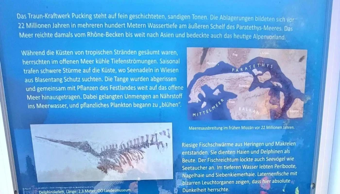 Kraftwerk Traun -  Pucking Rabatte - Traun
