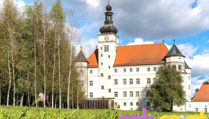 Lern -   Und Gedenkort Schloss Hartheim Vom Inhaber - Alkoven