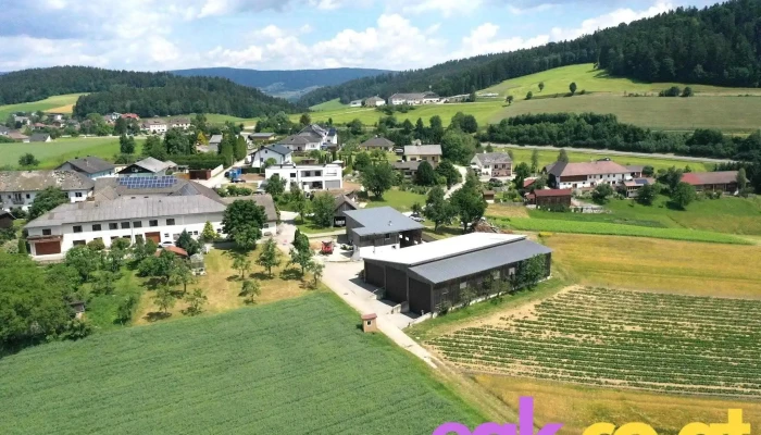 MeinNaturmensch - Oepping