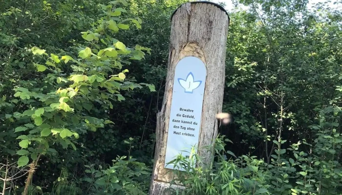 Naarn Im Machland -  Alle - Naarn Im Machland