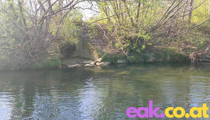Neuhofen An Der Krems -  Videos - Neuhofen An Der Krems