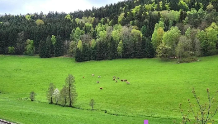 Oepping - Austria