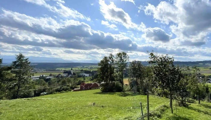 Ottnangium -  Wolfsegg Am Hausruck - Wolfsegg Am Hausruck