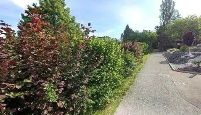 Seiner Photovoltaik -  Street View 360deg Fotos - Groß St. Florian