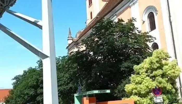 Solarbaum Gleisdorf - Gleisdorf