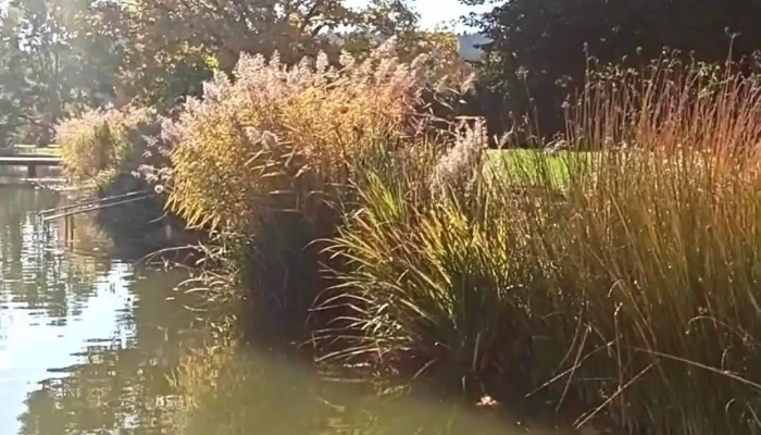 Well Welt Kumberg -    Der Freizeitpark Im Schocklland   Badesee Campdorf Videos - Kumberg