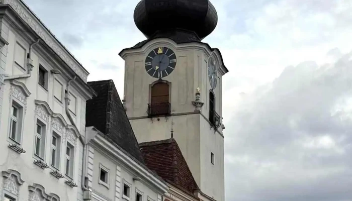 Wels -  Neueste - Wels