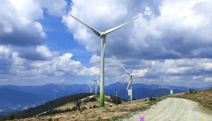 Wien Energie Windpark Steinriegel - Ratten