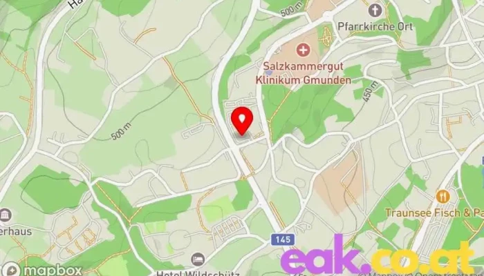 Wifi Gmunden -  Karte - Gmunden