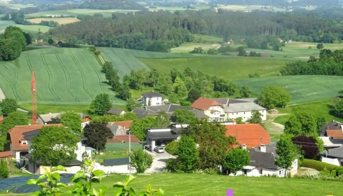 Wolfsegg Am Hausruck -  Alle - Wolfsegg Am Hausruck