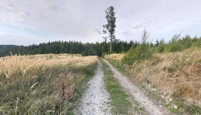 Wolfsegg Am Hausruck -  Street View 360deg Fotos - Wolfsegg Am Hausruck